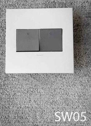 SW05-Qty-2. Double grey wall switch with light grey wall plate.