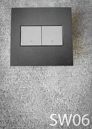 SW06-Qty-2. Double grey switch with dark grey plate.