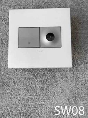 SW08-Grey double switch with one dimmer and lighter grey plate.
