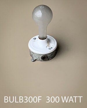 BULB300F-Qty-24. 300 watt frosted 130 volt bulb medium base 6"H