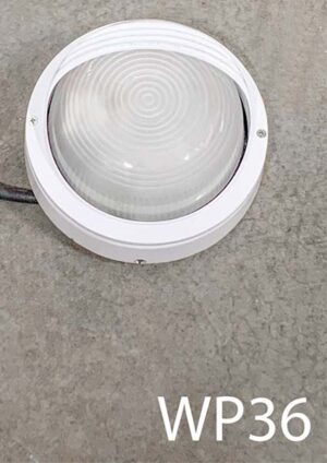 WP36-Qty-2. White marine light c/w cord. 8"D
