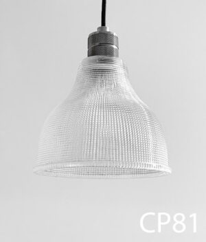 CP81-Qty-5. Black base with 8"D glass, cord and canopy. Medium Base bulb