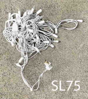 SL75-Qty-2. White 20' twinkle lights at 4" apart.